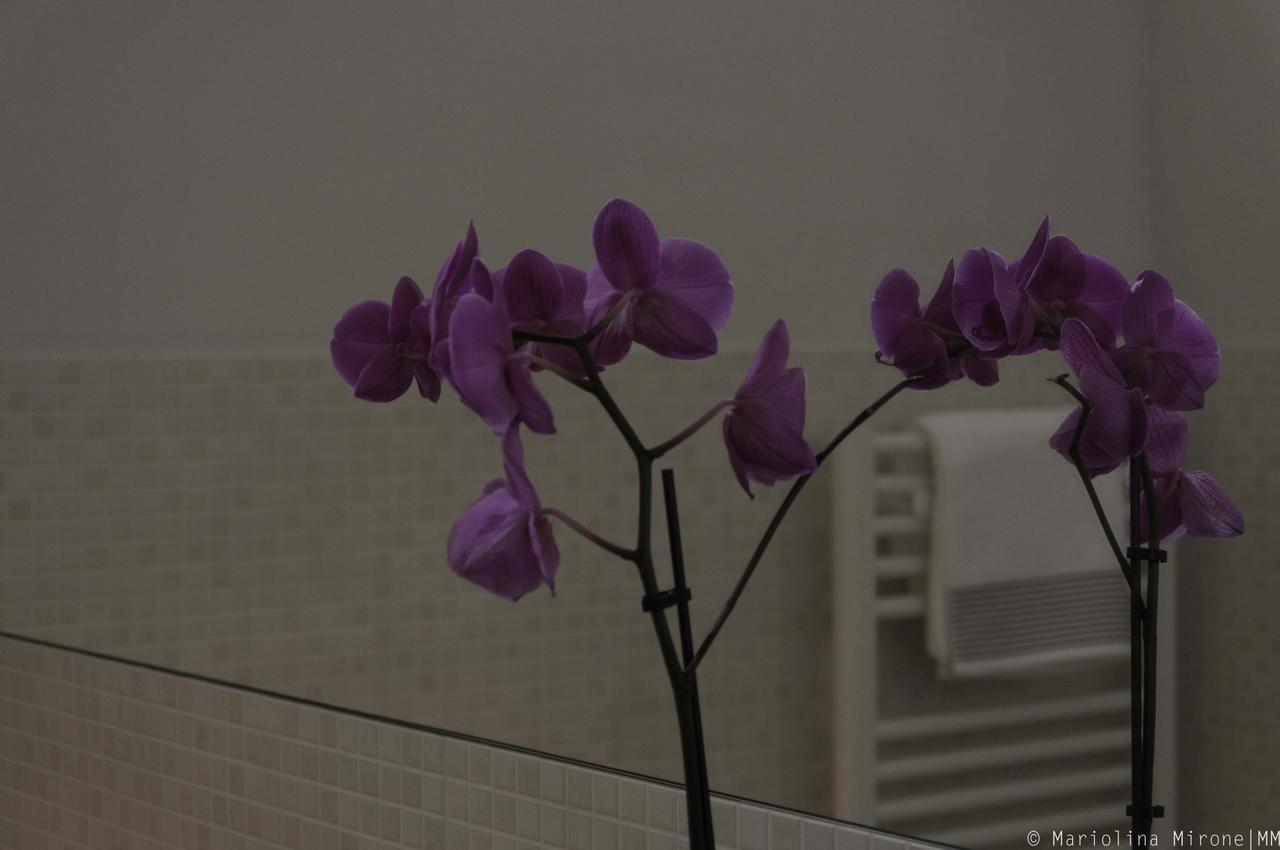 I Balconi Sul Castello Bed & Breakfast Catania Exterior foto